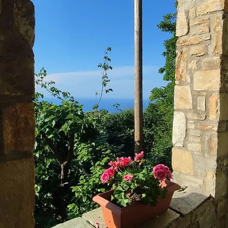 Vilă Forest, Sea, Stone