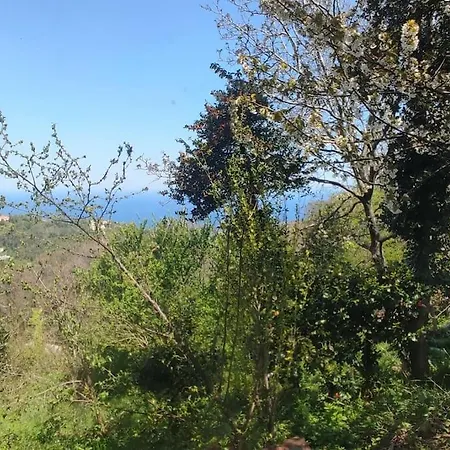 Vilă Forest, Sea, Stone *